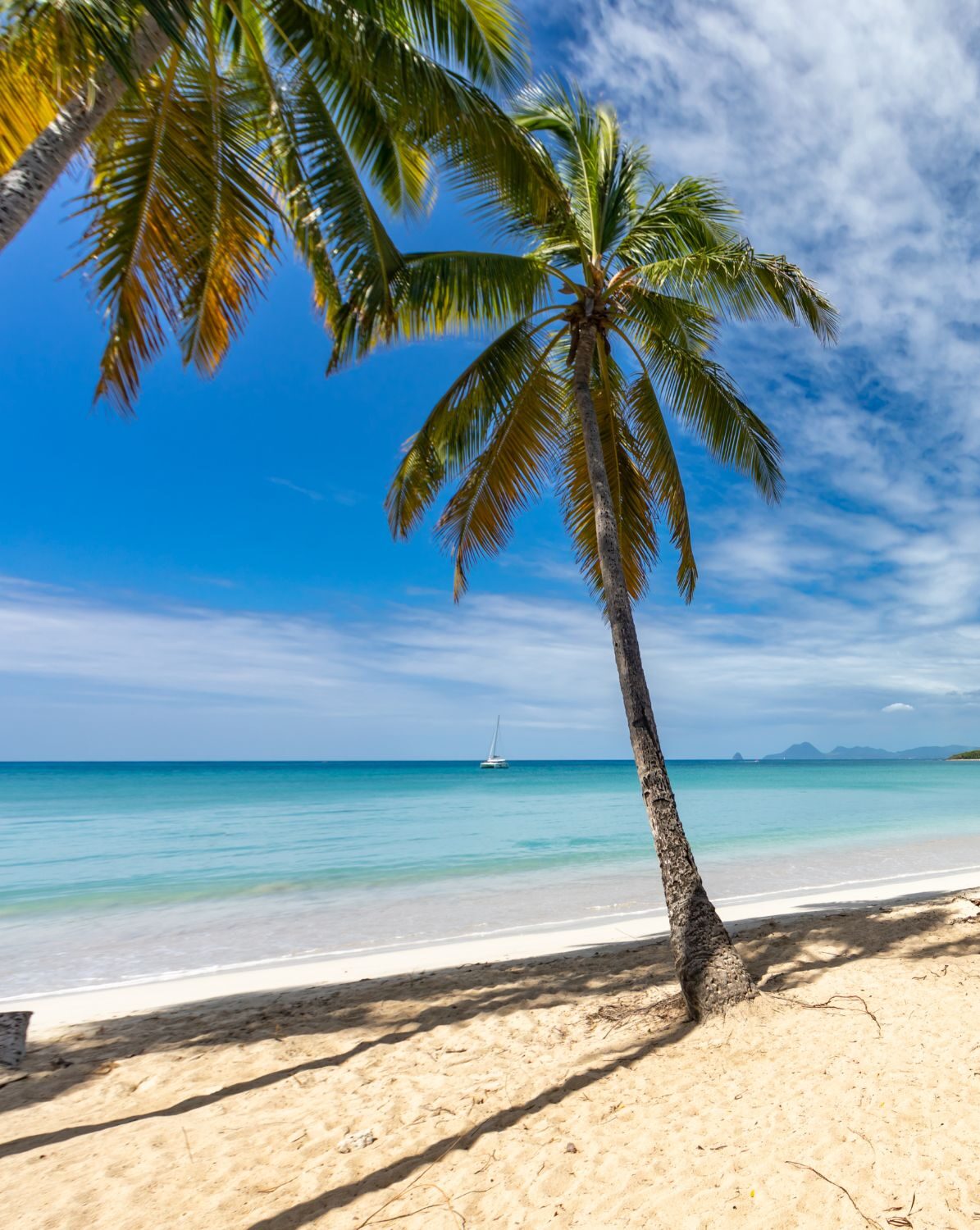 Sainte Anne martinique