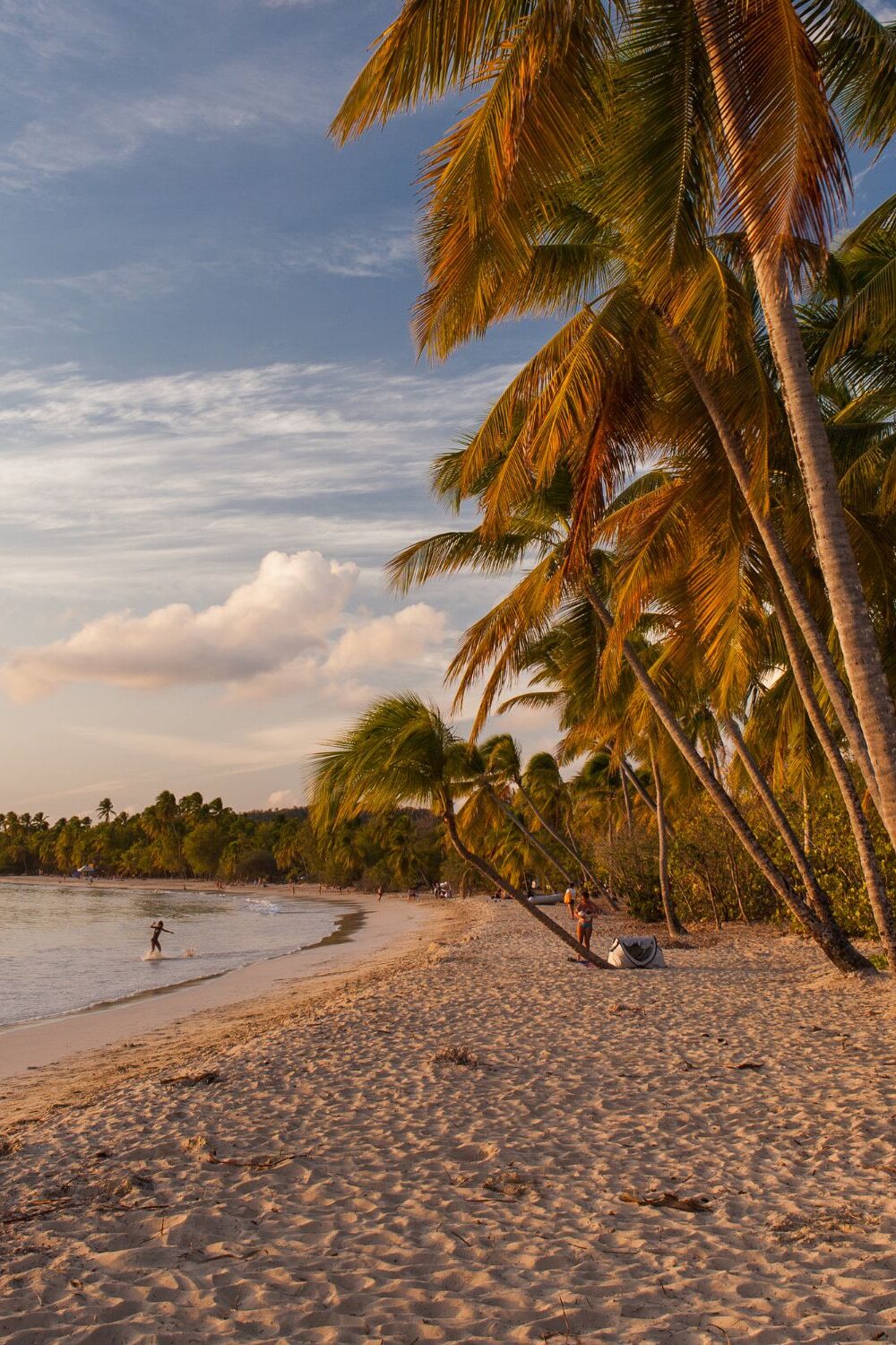 plages de martinique
